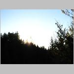 038_Prase zase 2006.jpg